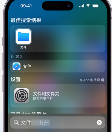 宜丰apple维修中心分享iPhone文件应用中存储和找到下载文件