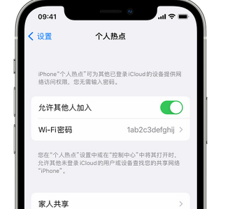 宜丰apple服务站点分享iPhone上个人热点丢失了怎么办 