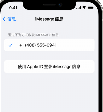 宜丰apple维修iPhone上无法正常发送iMessage信息 