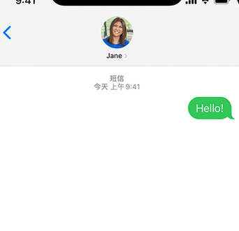 宜丰apple维修iPhone上无法正常发送iMessage信息