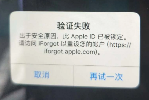 宜丰iPhone维修分享iPhone上正常登录或使用AppleID怎么办 