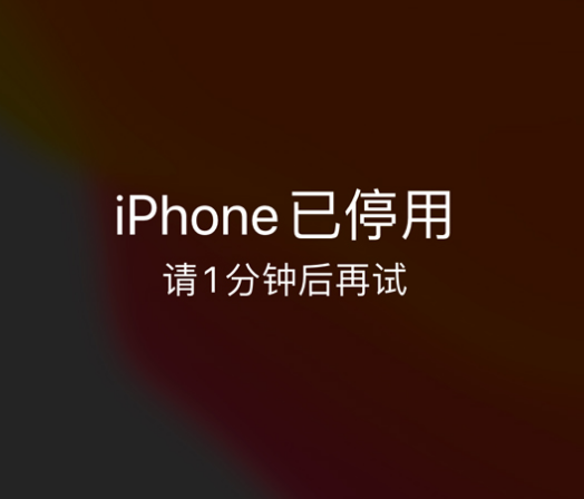 宜丰苹果手机维修分享:iPhone 显示“不可用”或“已停用”怎么办？还能保留数据吗？ 