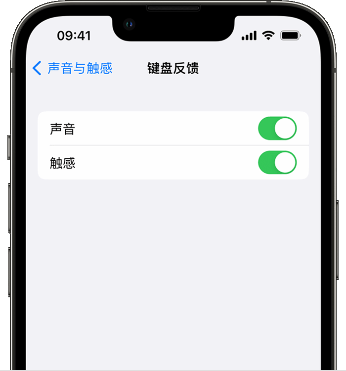 宜丰苹果14维修店分享如何在 iPhone 14 机型中使用触感键盘 