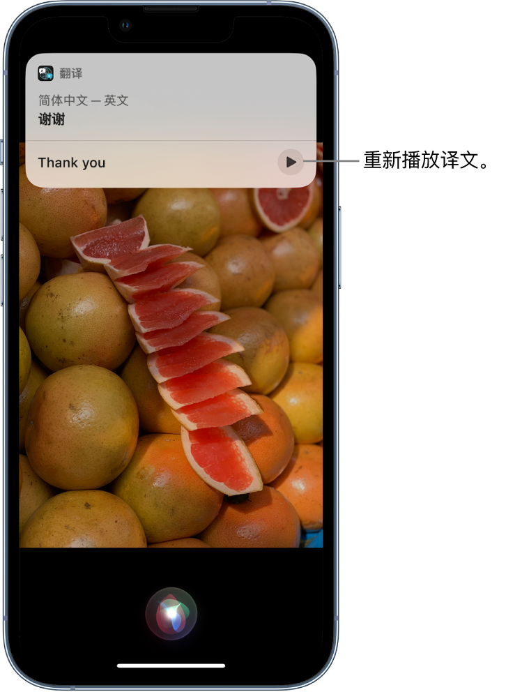 宜丰苹果14维修分享 iPhone 14 机型中使用 Siri：了解 Siri 能帮你做什么 