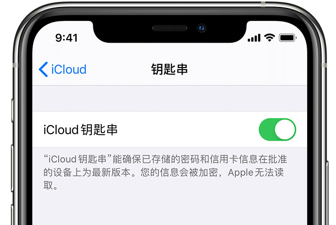 宜丰苹果手机维修分享在 iPhone 上开启 iCloud 钥匙串之后会储存哪些信息 