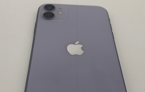宜丰苹果11系统维修分享iPhone11手机系统崩溃无法开机如何解决 